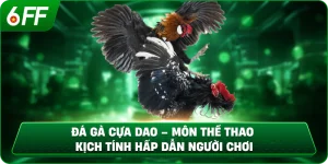 Đá Gà Cựa Dao – Môn Thể Thao Kịch Tính Hấp Dẫn Người Chơi