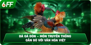 Đá Gà Đòn – Môn Truyền Thống Gắn Bó Với Văn Hóa Việt
